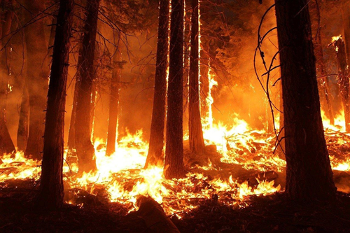 OGGETTO: Dichiarazione stato di massima pericolosità per gli incendi boschivi su tutto il territorio
regionale del Piemonte A PARTIRE DAL GIORNO 16.01.2022. Legge 21 novembre 2000, n.
353. Legge regionale 4 ottobre 2018, n. 15
